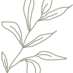 leaf drawing of herbs
